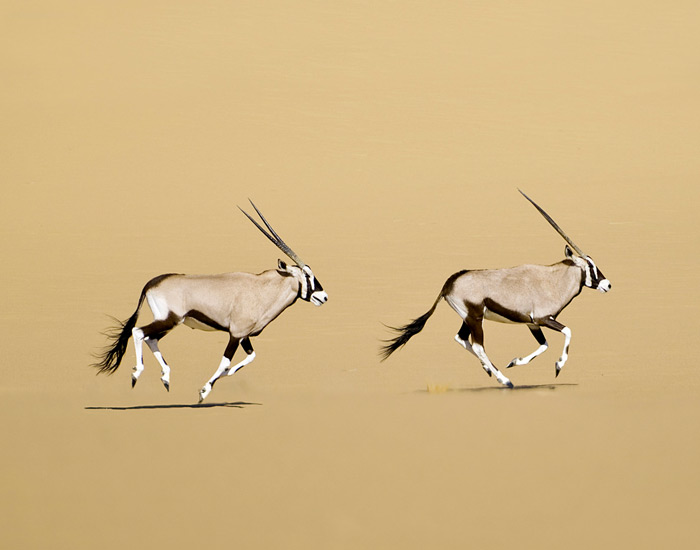 namibia