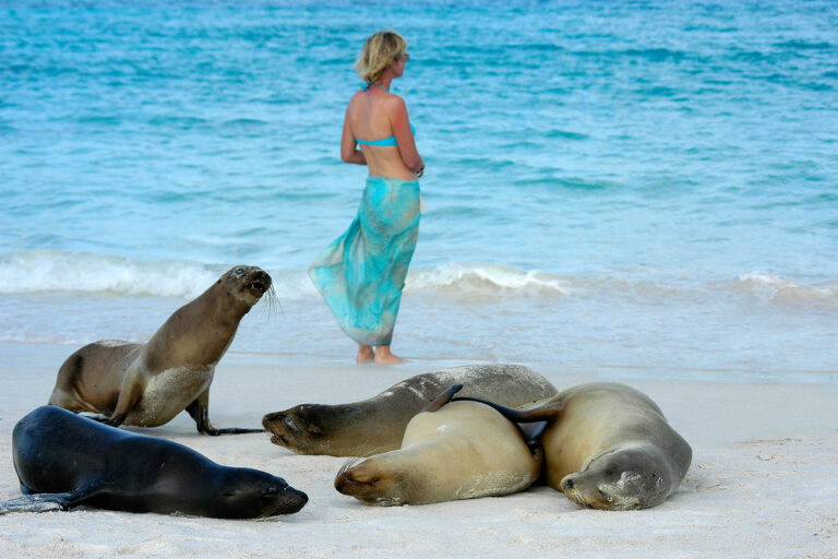 galapagos