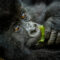 Rwandaphotographytour2